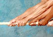 Motori endotermici addio? Bruxelles detta la transizione e Confetra valuta il pacchetto