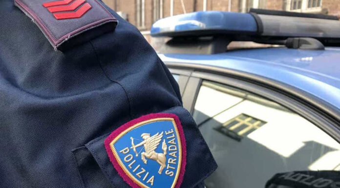 Sette bovini a terra sul camion: fermato sull’A4 un trasporto diretto al macello